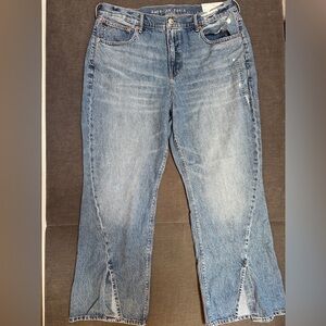 American Eagle Blue Flare Wide Leg Jeans
